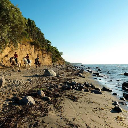 Daenische Ferienhaeuser Am Salzhaff Haus Vogelparadies Insel Poel Exteriér fotografie
