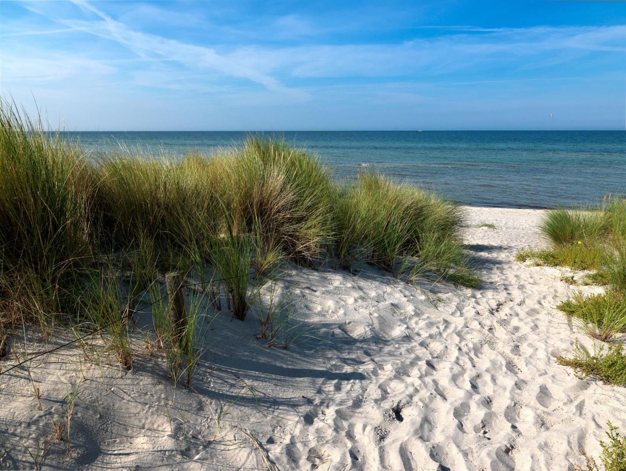 Daenische Ferienhaeuser Am Salzhaff Haus Vogelparadies Insel Poel Exteriér fotografie
