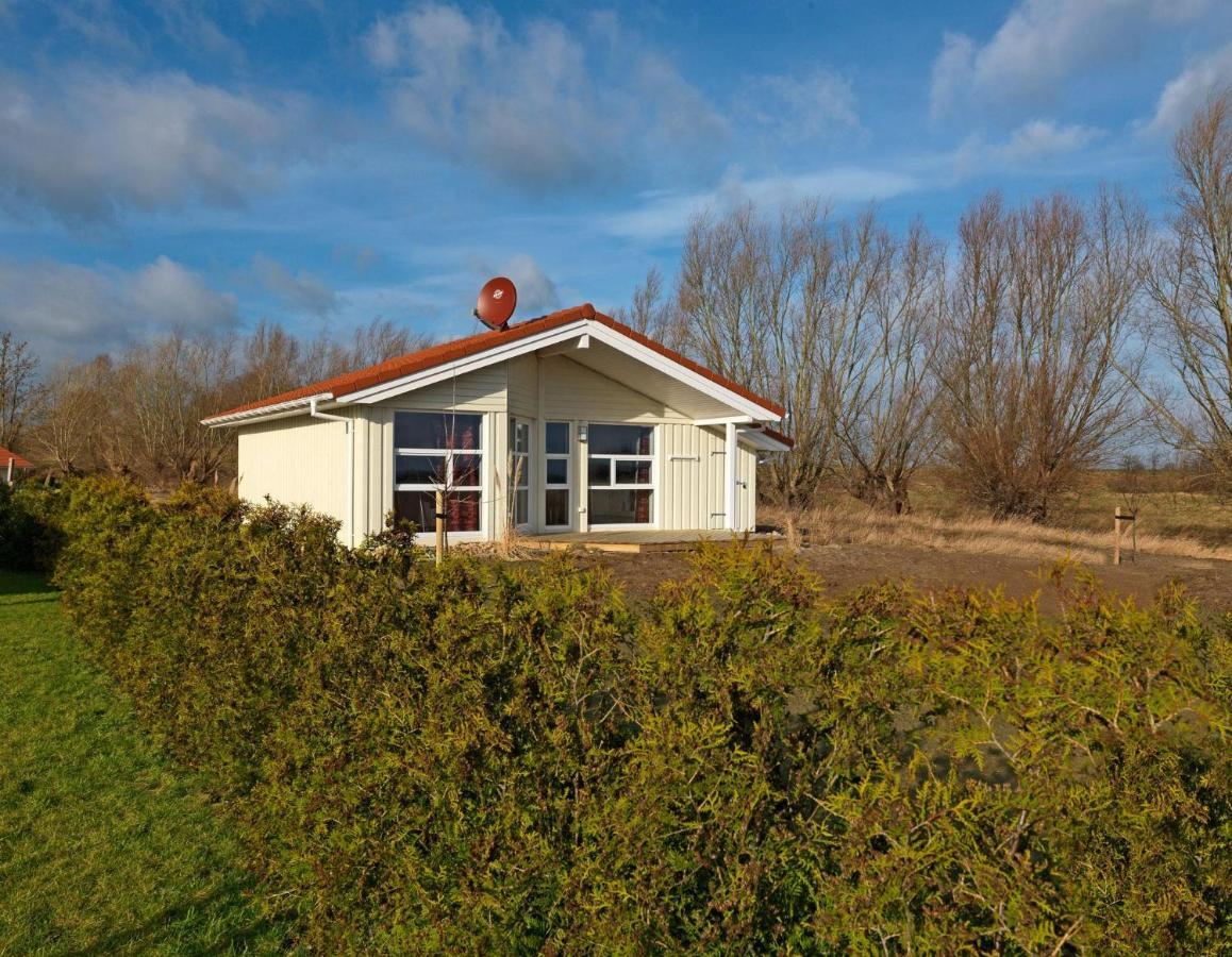 Daenische Ferienhaeuser Am Salzhaff Haus Vogelparadies Insel Poel Exteriér fotografie