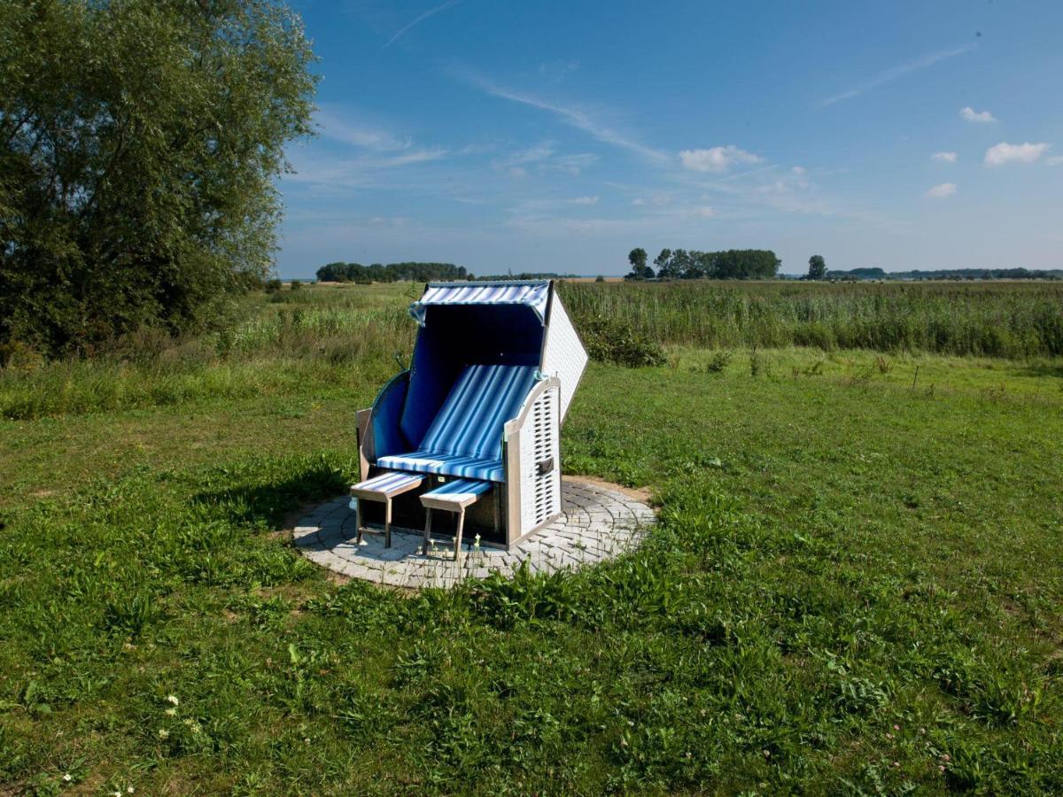 Daenische Ferienhaeuser Am Salzhaff Haus Vogelparadies Insel Poel Exteriér fotografie
